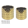 A319 GOLD