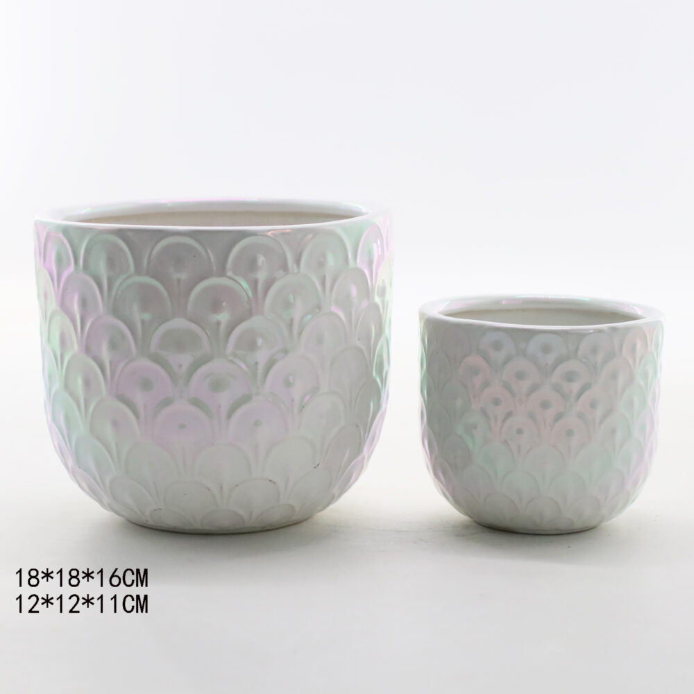 Set of 2 Embossed Scale‑Pattern Ceramic Plant Pots A434